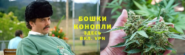 PSILOCYBIN Пестово
